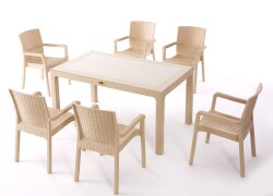 Heniver Rattan 90x150cm Vektör Camlı Set
