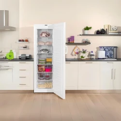 REGAL CD NF 72911 7 Drawer Vertical Deep Freezer 279 Liters