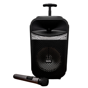 Andowl ES-Y801 Karaoke Hoparlör